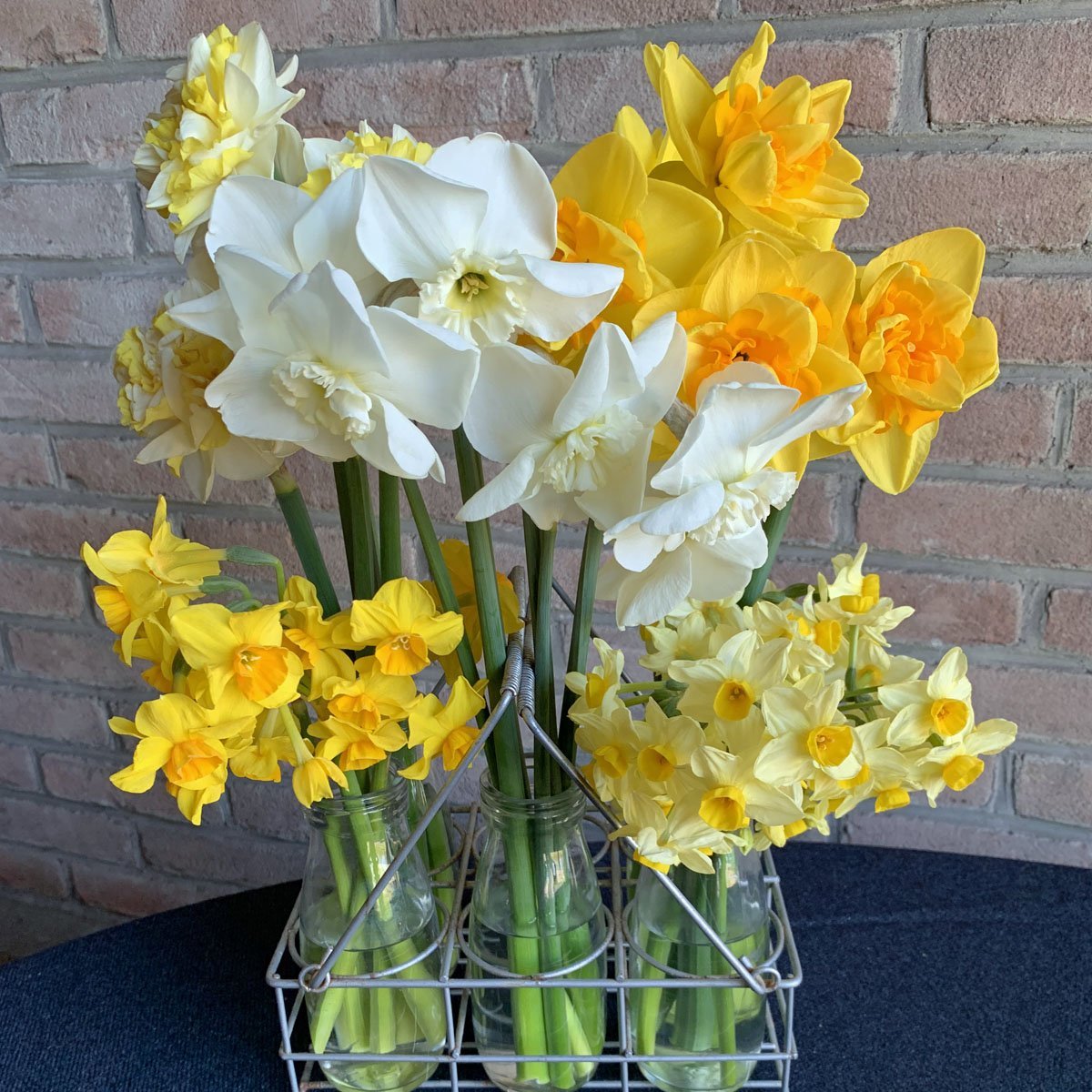 Uitnodiging World Daffodil Tour - fluwelnl