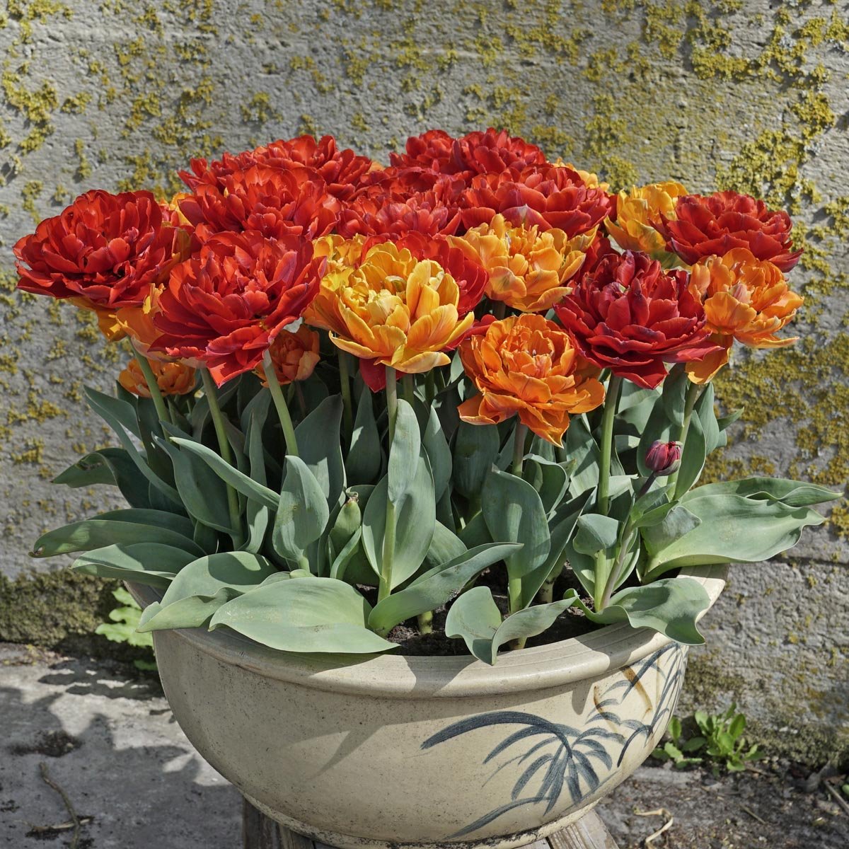 Hot Item - Mixes - Fluwel
