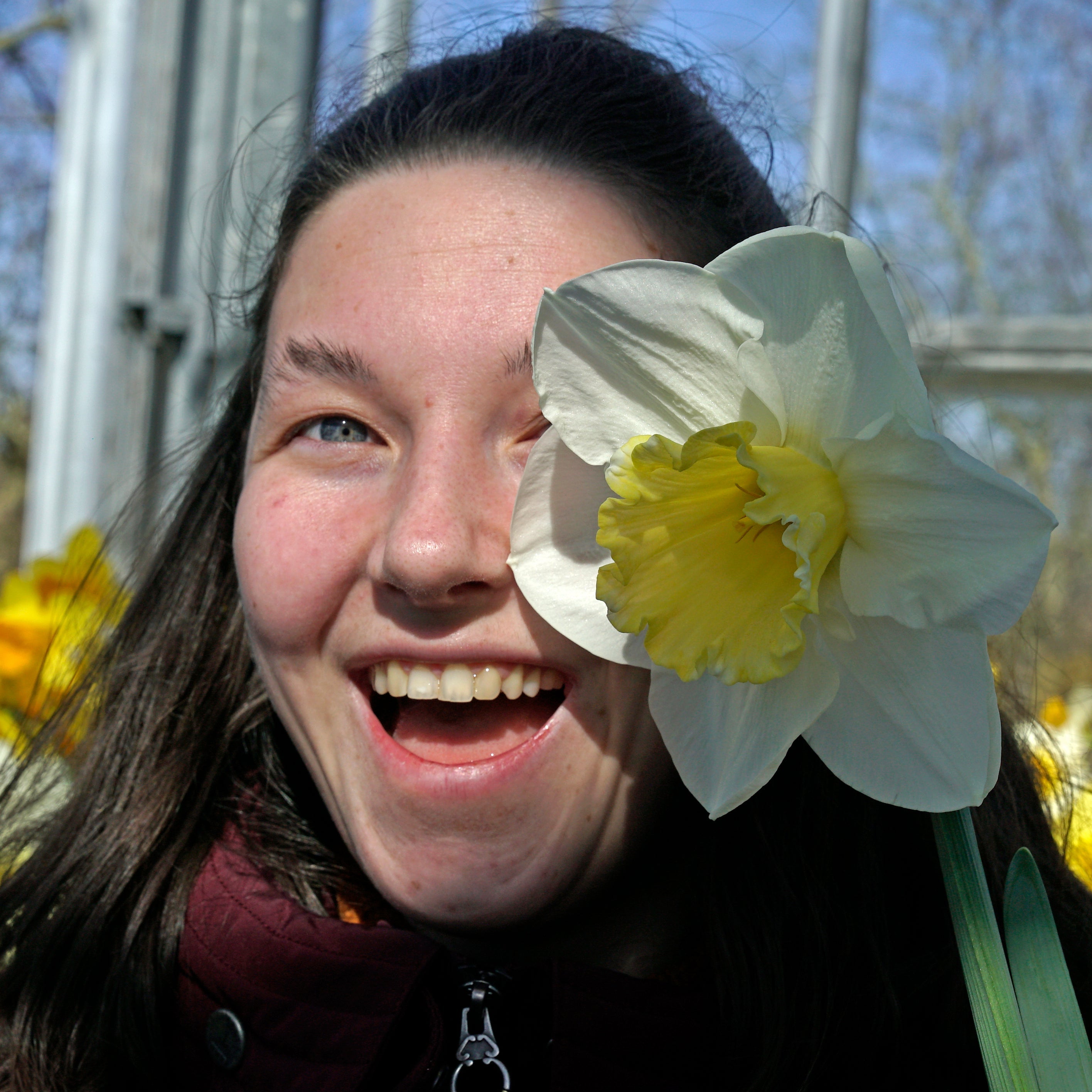 The Godfather - Special Narcissus - Fluwel