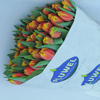 Plante à couper