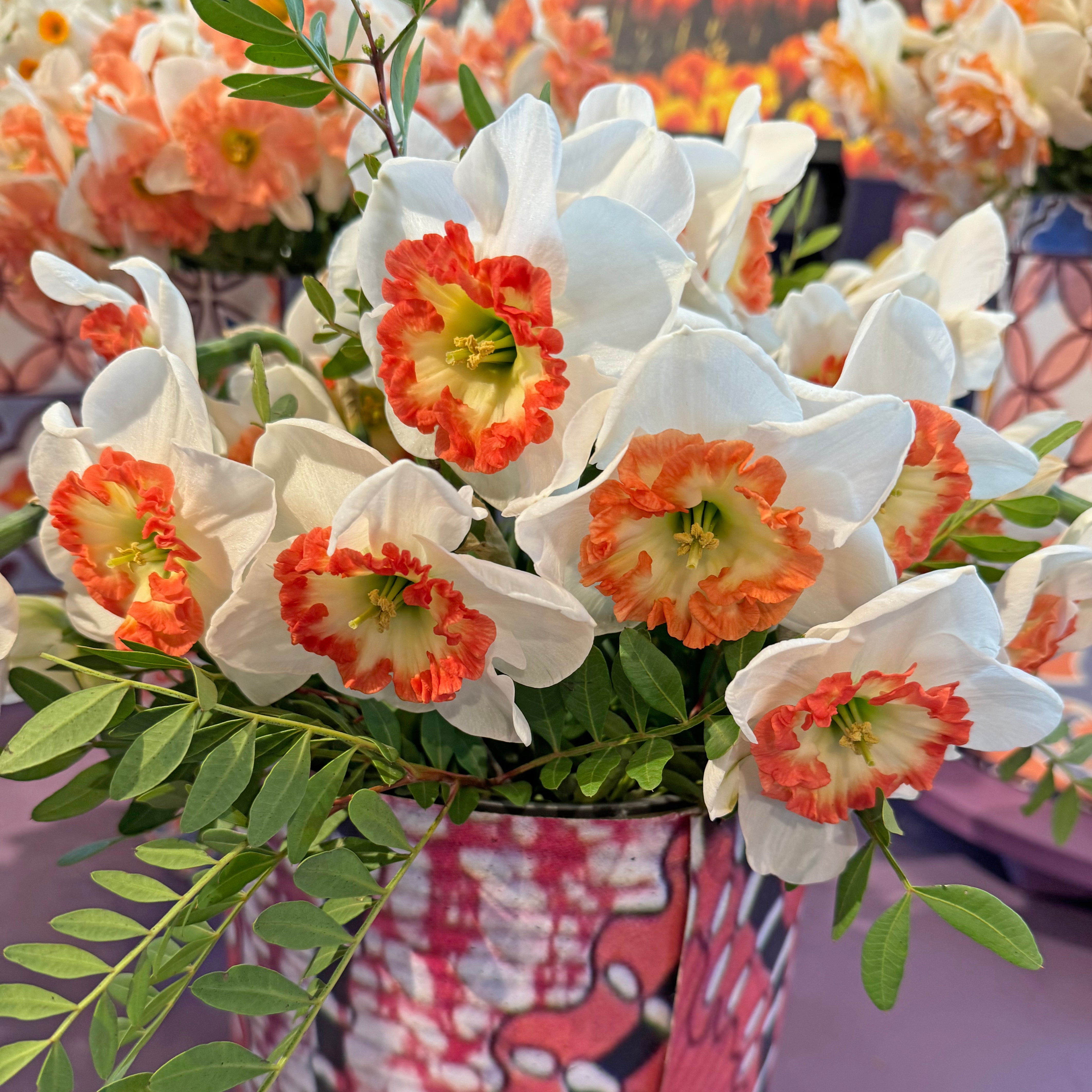 Debs Jewel - Special Narcissus - Fluwel