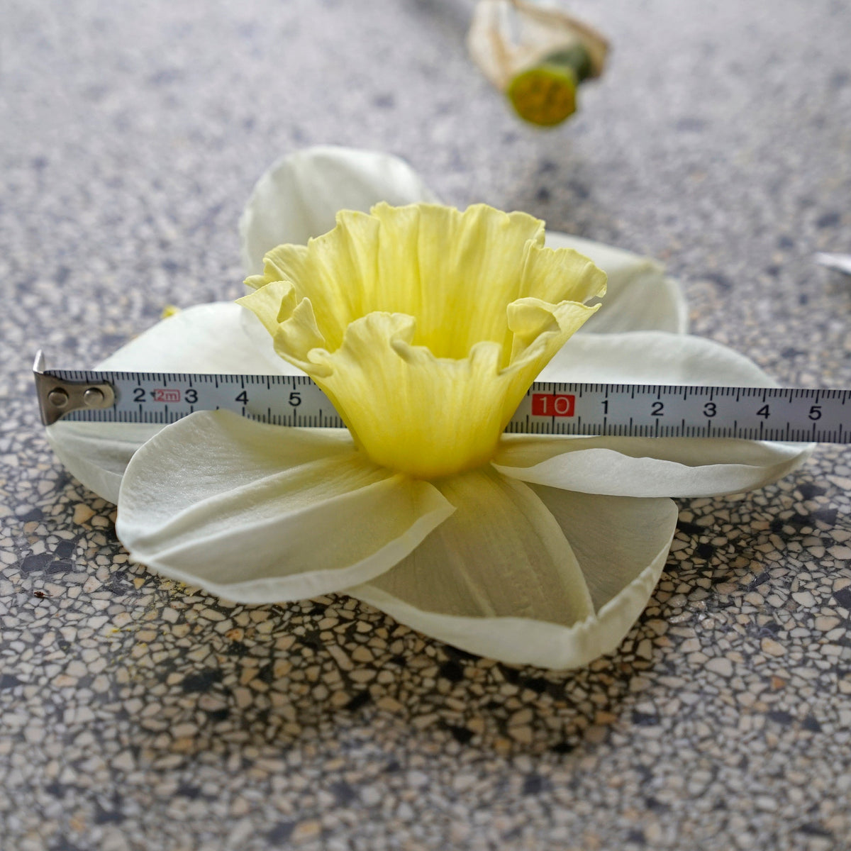 The Godfather - Special Narcissus - Fluwel