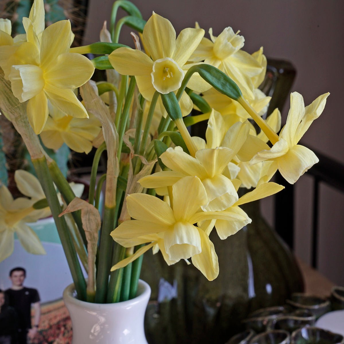 Woodstar - Special Narcissus - Fluwel